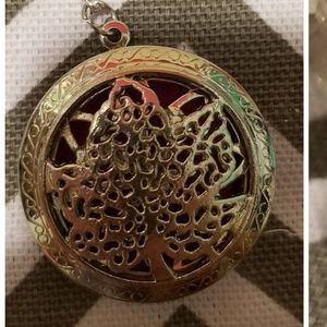 Comes w/ 1 oil, diffuser pendant necklace